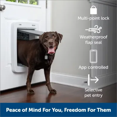 PetSafe Electronic Smart Door 2