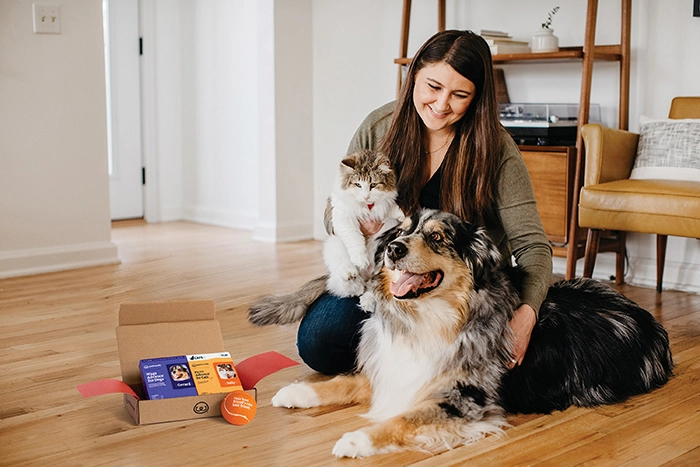 7-Day Plan to Transition An Outdoor Cat to Indoor Life 5 PetFriendly Daily Supplement dog
