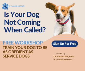 K9 Training Institute