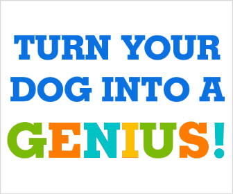 Pet Care And Training Home 3 Genius Dog 336 x 280 - Animated